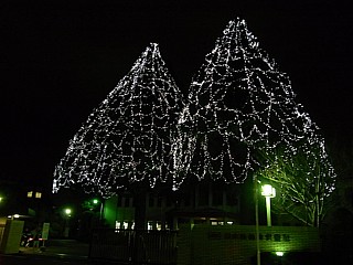 d0051601_4341717.jpg