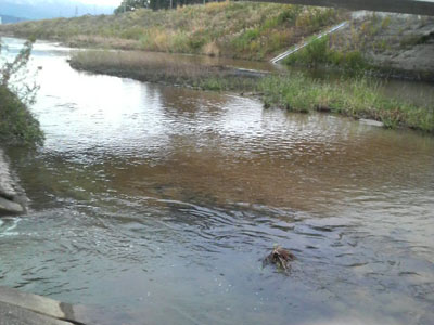 f0082402_10345427.jpg