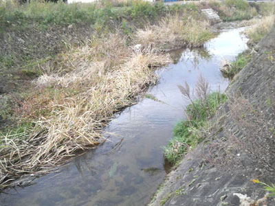f0082402_9573339.jpg