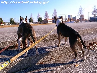 郊外学習継続中_e0145805_2128722.jpg