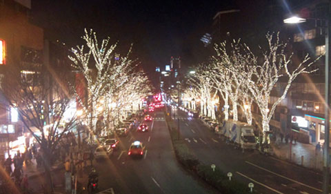 a0000006_0534782.jpg