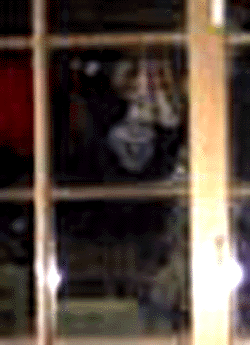e0103408_17594095.gif