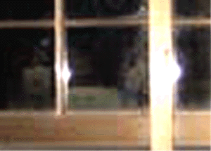 e0103408_18141380.gif