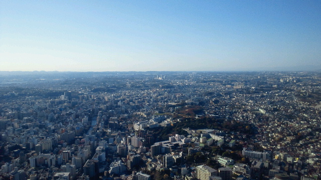 a0151913_17231388.jpg