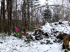 c0173813_2250560.jpg