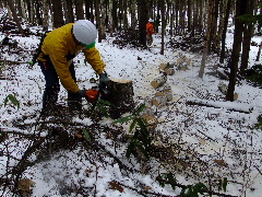 c0173813_22505778.jpg