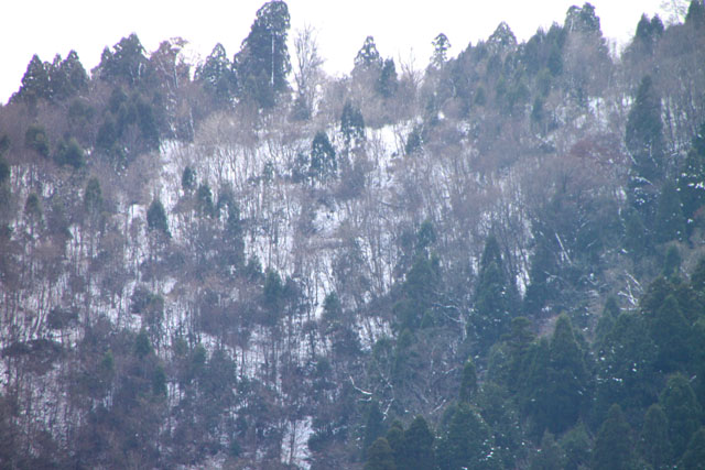 佐々里峠は雪_e0048413_21361474.jpg