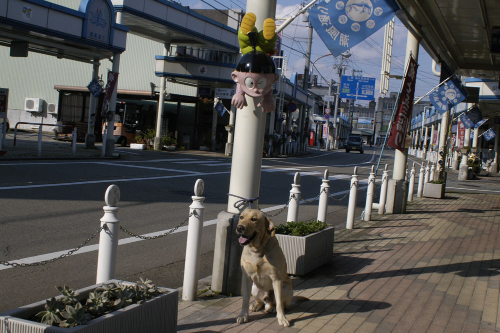 忍者ハットリくん 波平の絵日記 ラブラドール犬種 忍者ハットリくん 波平の絵日記 ラブラドール犬種
