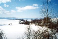 a0116217_22565454.jpg