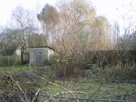 c0124619_055372.jpg