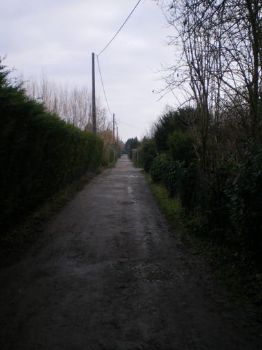 c0124619_0563974.jpg