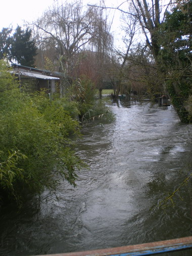 c0124619_0574419.jpg