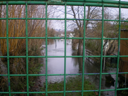c0124619_058769.jpg