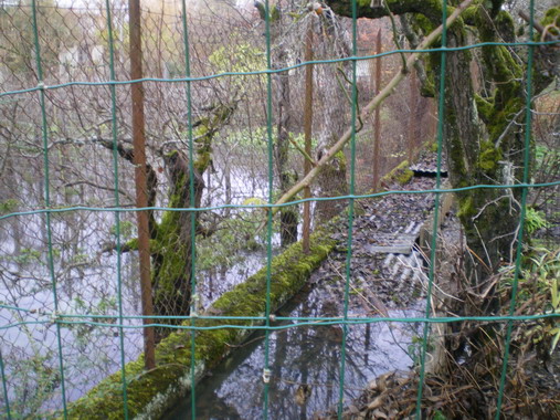 c0124619_0592489.jpg
