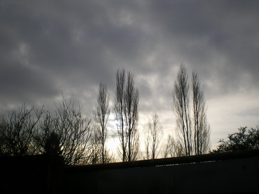 c0124619_0595948.jpg