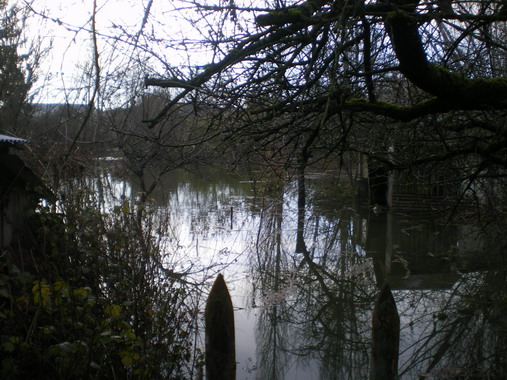 c0124619_104033.jpg