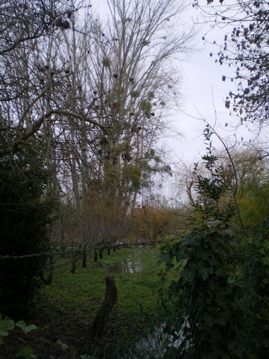 c0124619_1102253.jpg