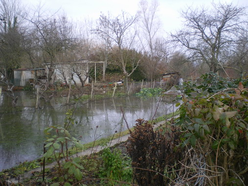 c0124619_112355.jpg