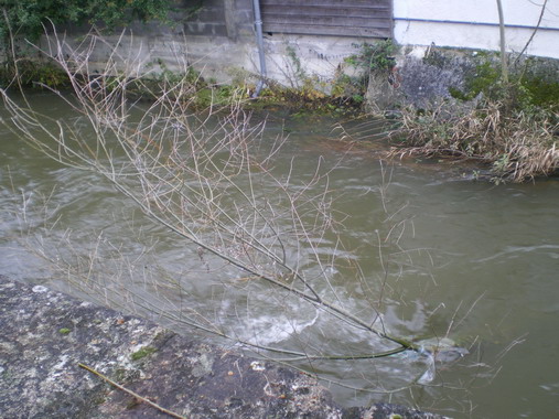 c0124619_112943.jpg