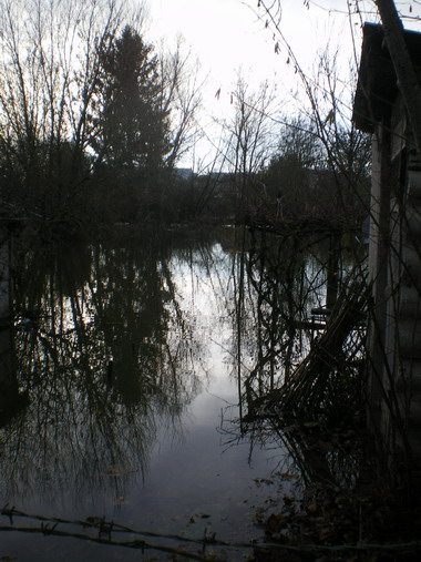 c0124619_11410.jpg
