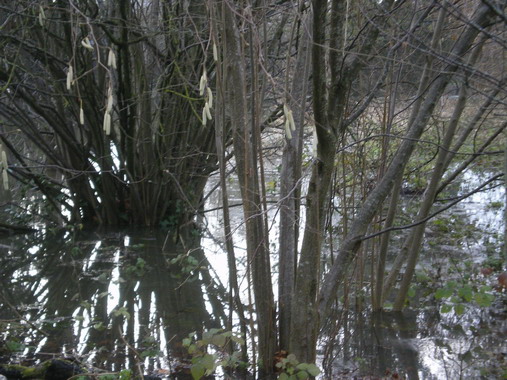 c0124619_114274.jpg