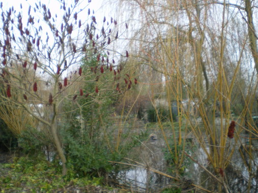 c0124619_123088.jpg