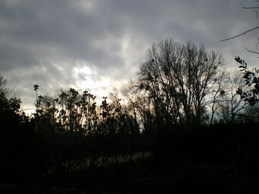 c0124619_13157.jpg