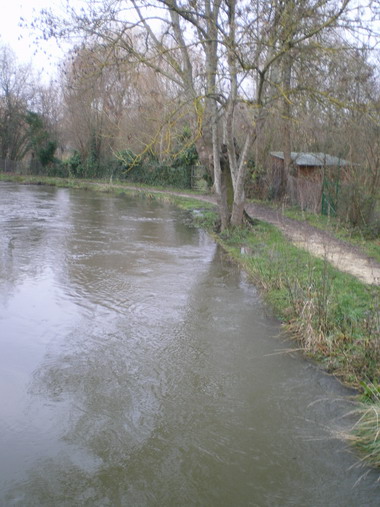 c0124619_142697.jpg