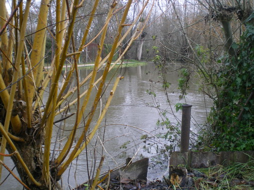 c0124619_14327.jpg