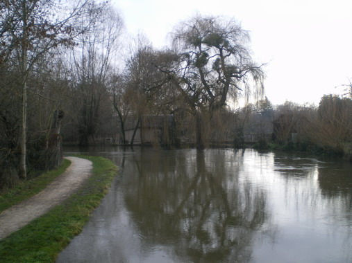 c0124619_15380.jpg