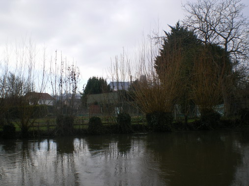 c0124619_162479.jpg
