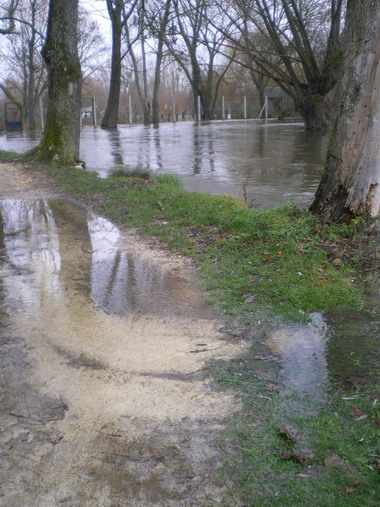 c0124619_17399.jpg