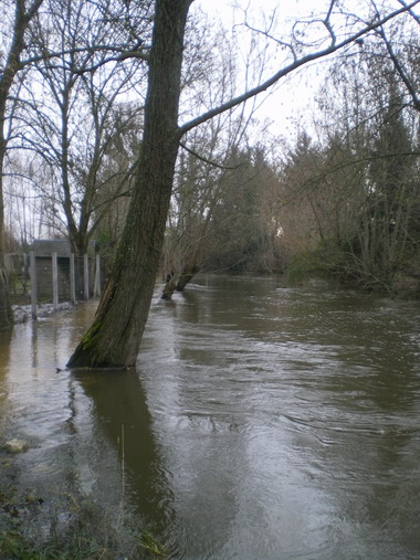 c0124619_193217.jpg