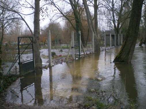 c0124619_19752.jpg