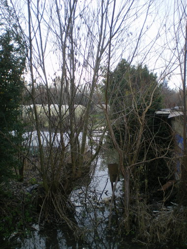 c0124619_4122195.jpg