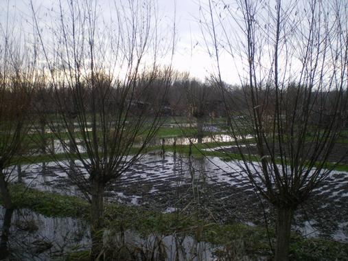 c0124619_4134240.jpg