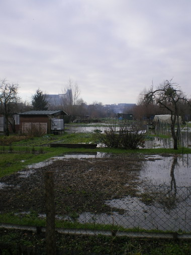 c0124619_415094.jpg