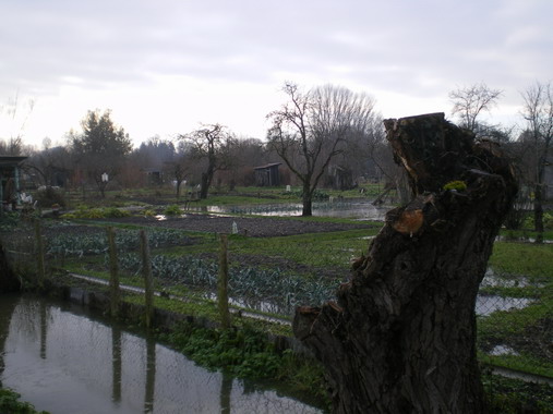 c0124619_4152346.jpg