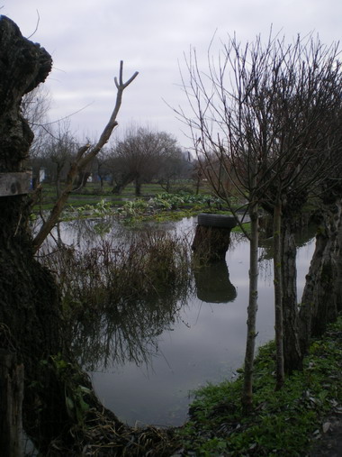 c0124619_4161053.jpg