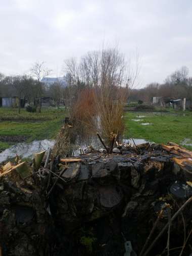 c0124619_416527.jpg