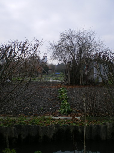 c0124619_4172180.jpg