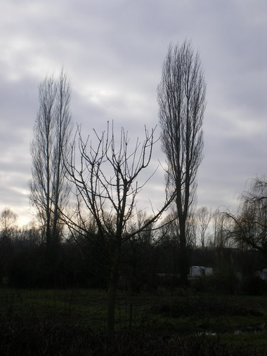 c0124619_4174377.jpg