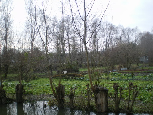 c0124619_4182991.jpg