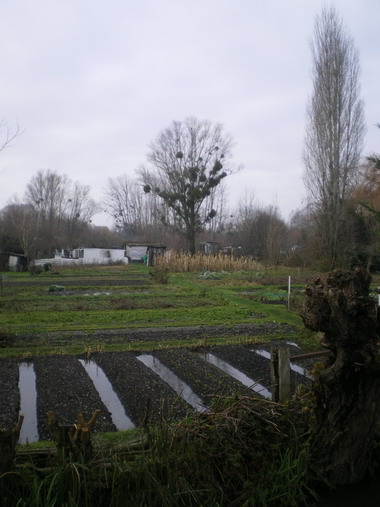 c0124619_418682.jpg