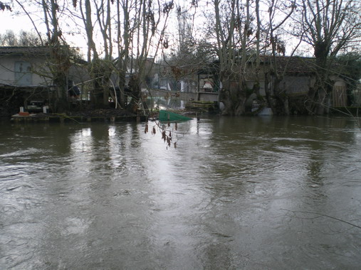 c0124619_4204720.jpg