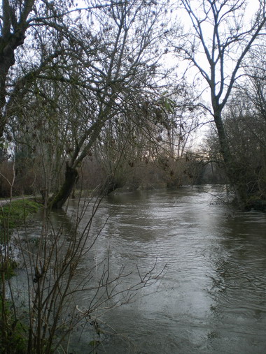 c0124619_4211092.jpg