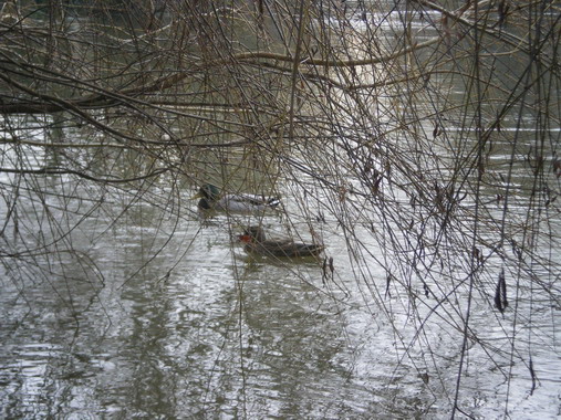 c0124619_4214189.jpg