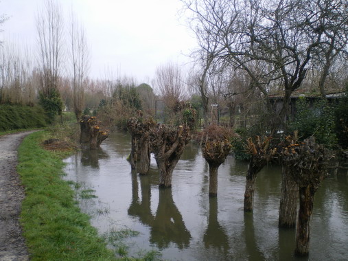 c0124619_4225569.jpg