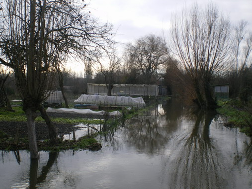 c0124619_4233257.jpg