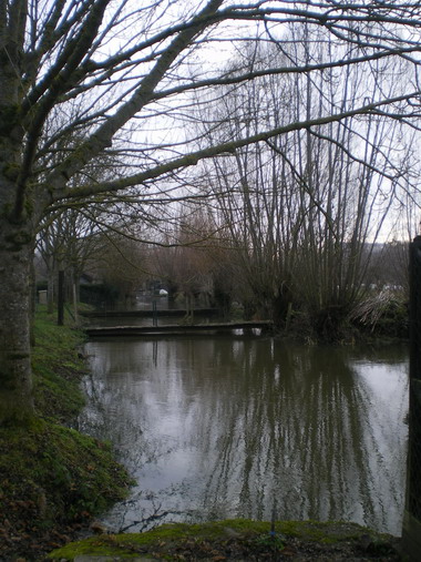 c0124619_4241815.jpg